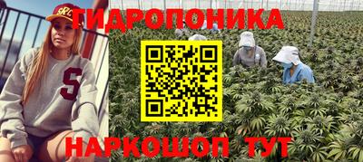 PSILOCYBIN Ирбит