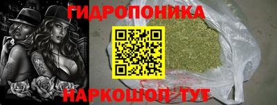 PSILOCYBIN Ирбит