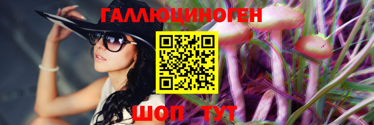 Псилоцибиновые грибы Psilocybe Кингисепп